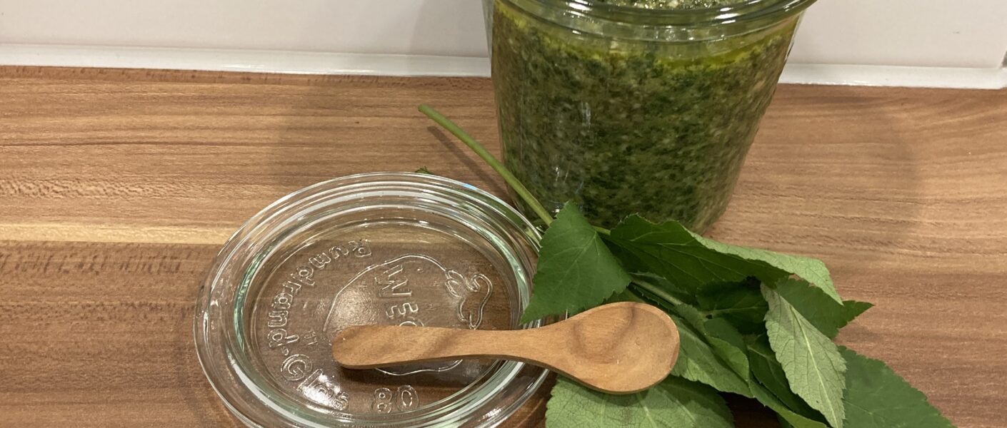 Giersch-Zitronenmelisse-Pesto