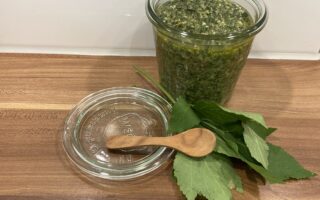 Giersch-Zitronenmelisse-Pesto