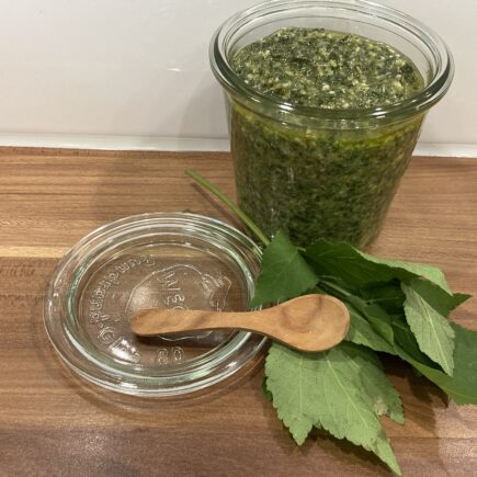 Giersch-Zitronenmelisse-Pesto