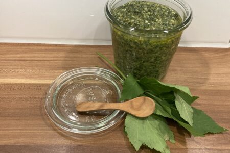 Giersch-Zitronenmelisse-Pesto